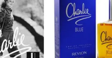 Smell Fantastic on a Budget with Cheap Charlie Perfume 2