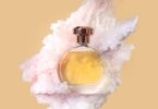 Uncover The Secret To Affordable High-Quality Perfumes 11