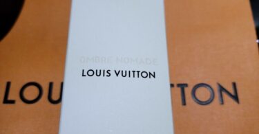 Discover the Ultimate Ombre Nomade Louis Vuitton Alternative Now! 2