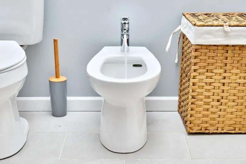 Revamp Your Bathroom with the Best Toilet and Integrated Bidet 1
