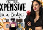 Smell Expensive on a Budget: Cheap Victoria Secret Perfume 4