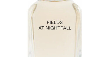 Zara Fields at Nightfall Smells Like : Enchanting Aromas. 3