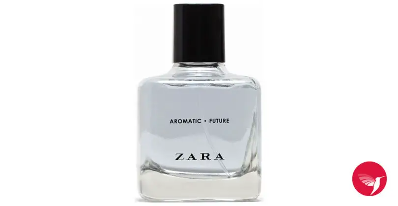 Dior Sauvage Zara Alternative: Get Designer Fragrance for Less! 1