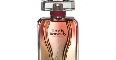 Next Paradise Perfume Smells Like : Heavenly Scent Secrets. 2