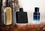 Top 5 Cologne for Men: Unleash Your Masculinity. 7