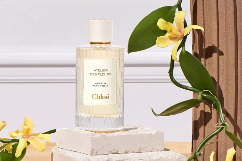 Chloe Perfume Smells Like