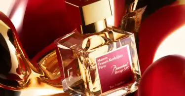 Dior Addict Similar Perfumes