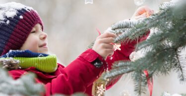 Perfumes That Smell Like Christmas
