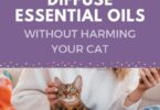 Are Fragrance Oils Safe for Cats