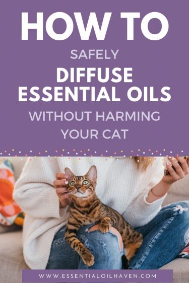 Are Fragrance Oils Safe for Cats