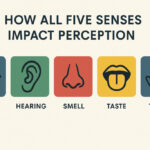 How All Five Senses Impact Perception Powerpoint: Image credit: AI