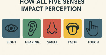 How All Five Senses Impact Perception Powerpoint: Image credit: AI