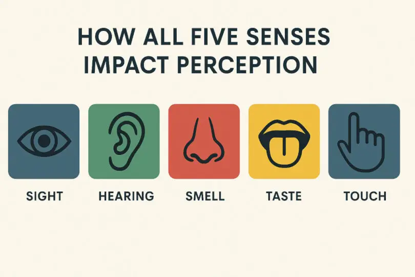 How All Five Senses Impact Perception Powerpoint: Image credit: AI