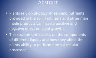 How Do Plants Rely on Photosynthesis