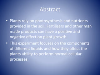 How Do Plants Rely on Photosynthesis