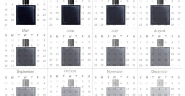 How Long Does a Bottle of Cologne Last