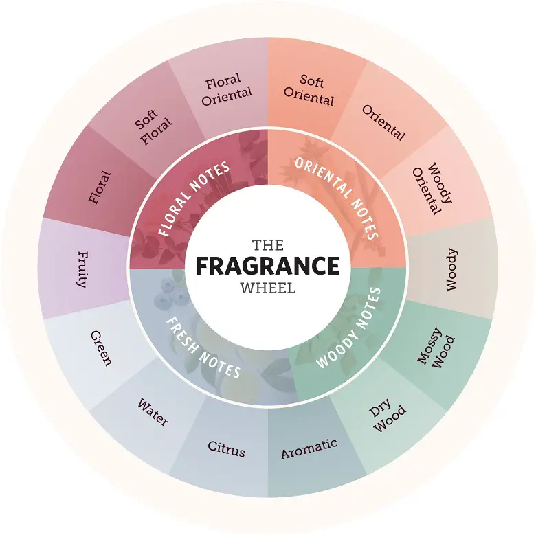 How to Describe Perfume Scents