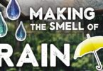 How to Make Petrichor Smell