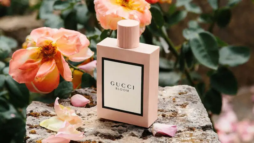 Perfumes Similar to Gucci Bloom