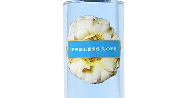 Victoria Secret Endless Love Similar Scent