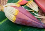 What Does Banana Flower Smell Like