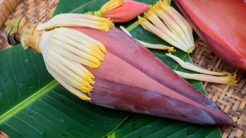 What Does Banana Flower Smell Like