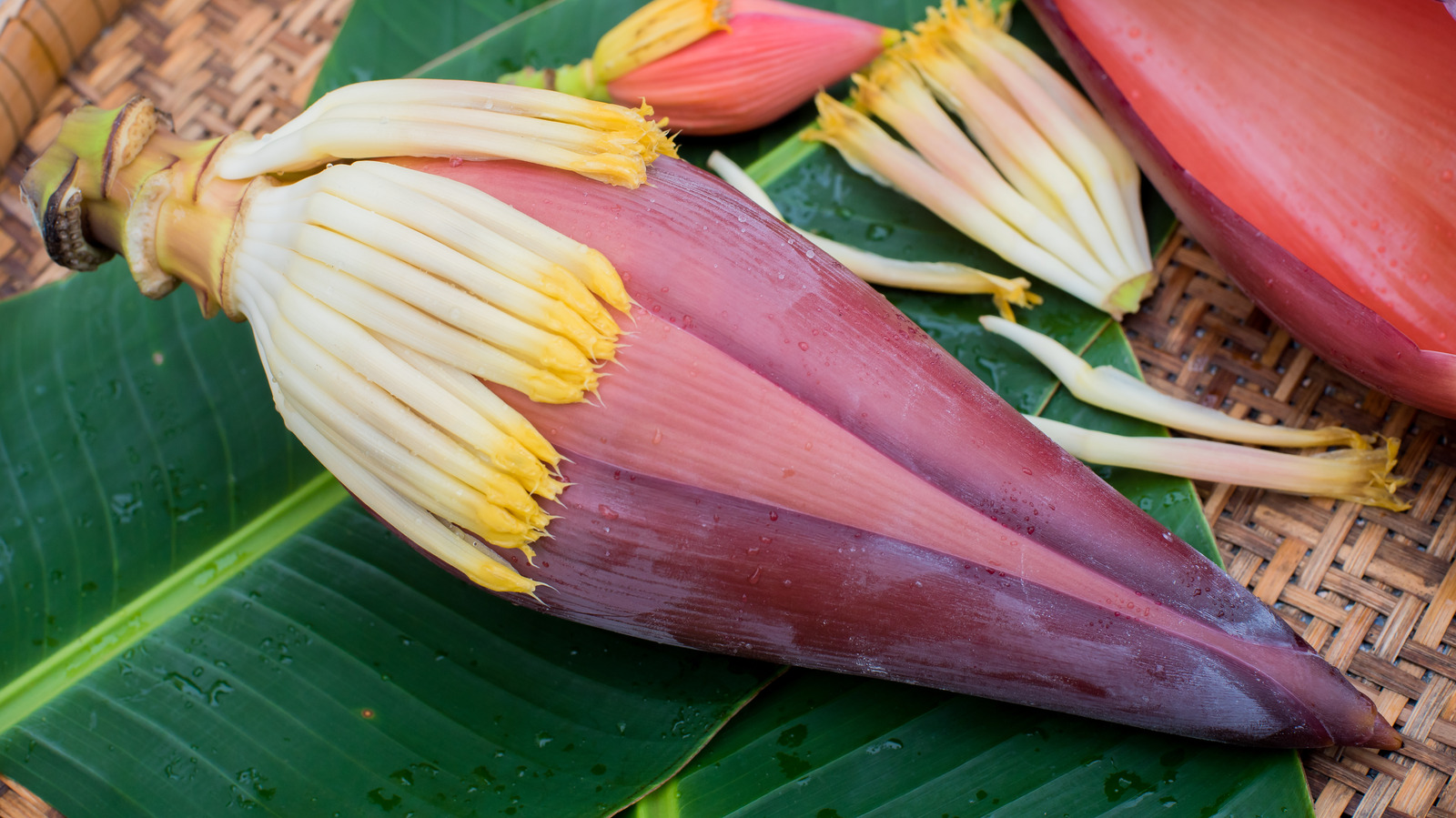 What Does Banana Flower Smell Like