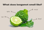 What Does Bergamot Oil Smell Like