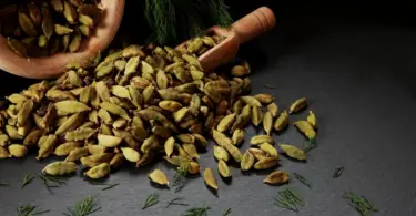 What Does Cardamom Smell Like