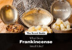 What Does Frankincense Oil Smell Like