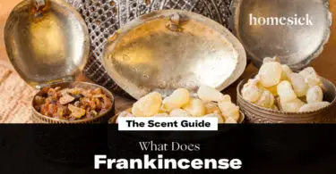 What Does Frankincense Oil Smell Like