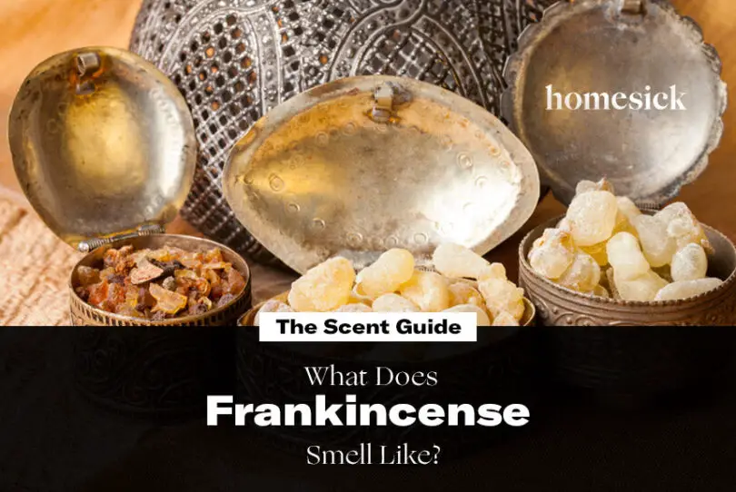 What Does Frankincense Oil Smell Like