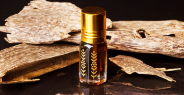 What Does Oud Mean in Fragrance