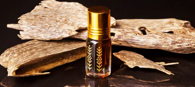 What Does Oud Mean in Fragrance