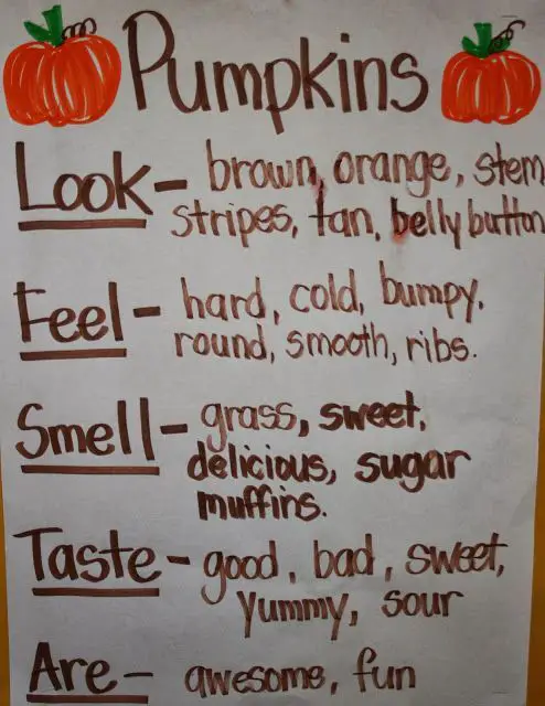 What Does Pumpkin Smell Like
