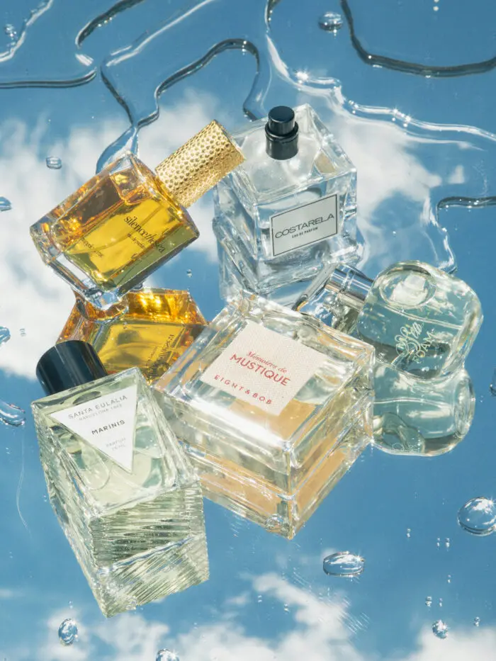 What Does the Beach Smell Like Grooming Wise