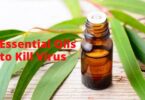 What Essential Oil Kills Flu Virus