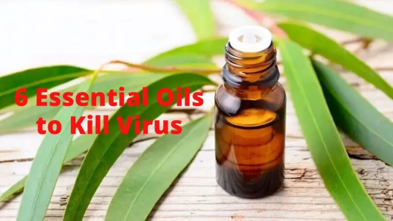 What Essential Oil Kills Flu Virus