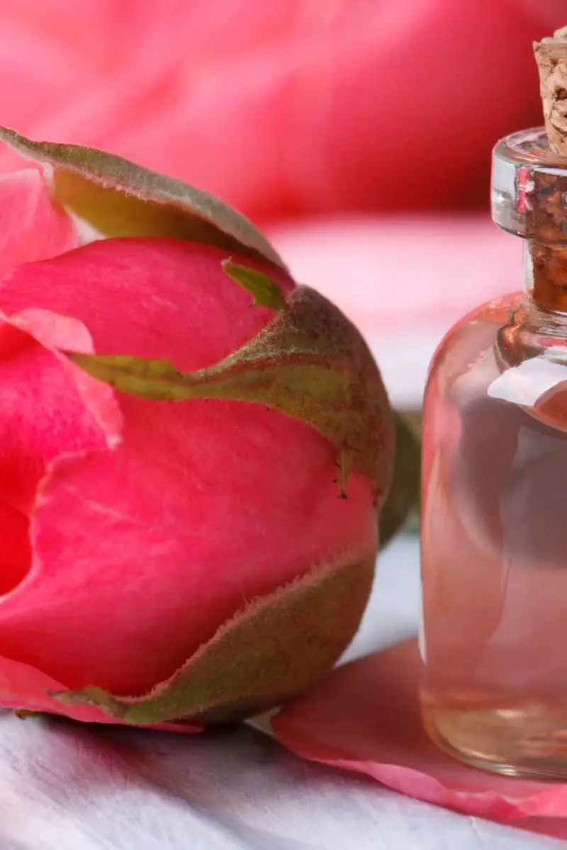 What Happens If You Mix Perfume With Water