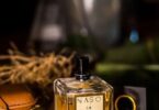 What is Oud in Perfume