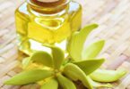 What is Ylang Ylang Scent