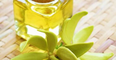 What is Ylang Ylang Scent