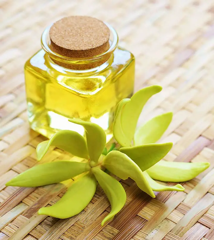 What is Ylang Ylang Scent