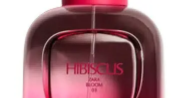 What is Zara Hibiscus a Dupe for