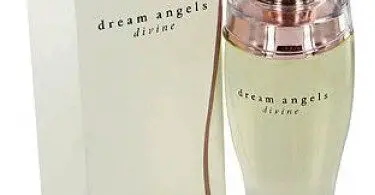 What Perfume Smells Like Dream Angels Divine