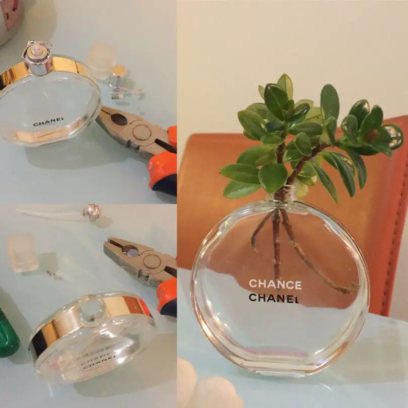 What to Do With Empty Perfume Bottles