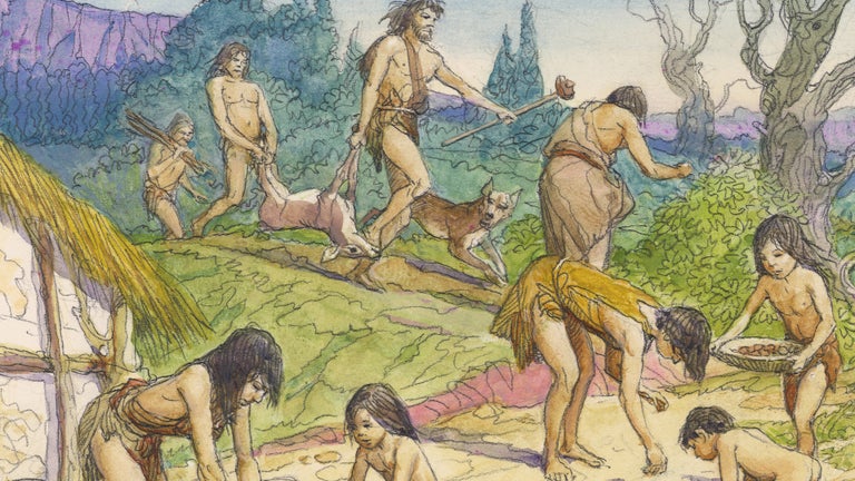 What was Life Like for a Hunter-Gatherer