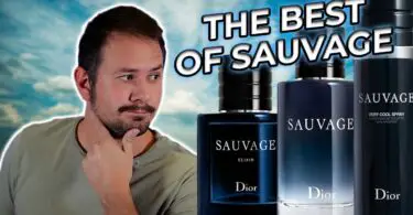 Which Sauvage Cologne is Best