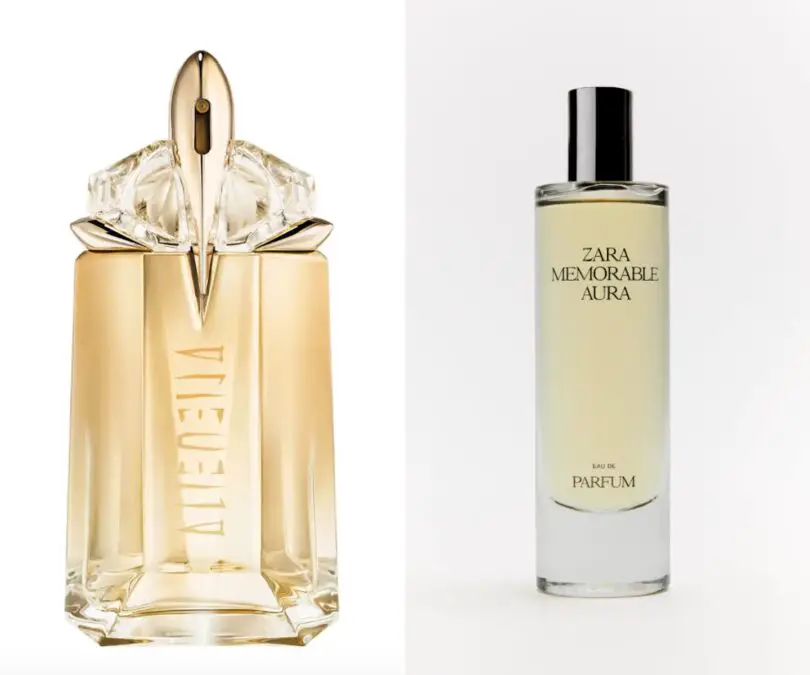 Best Zara Perfumes for Women