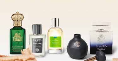 Perfumes With Cedarwood